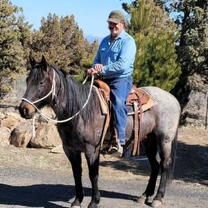 Meet your Posher, Todd